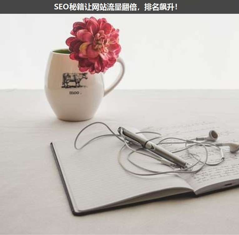 SEO秘籍讓網(wǎng)站流量翻倍，排名飆升！
