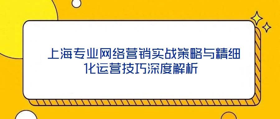 上海專業(yè)網絡營銷實戰(zhàn)策略與精細化運營技巧深度解析