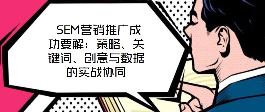  SEM營(yíng)銷(xiāo)推廣成功要解：策略、關(guān)鍵詞、創(chuàng)意與數(shù)據(jù)的實(shí)戰(zhàn)協(xié)同